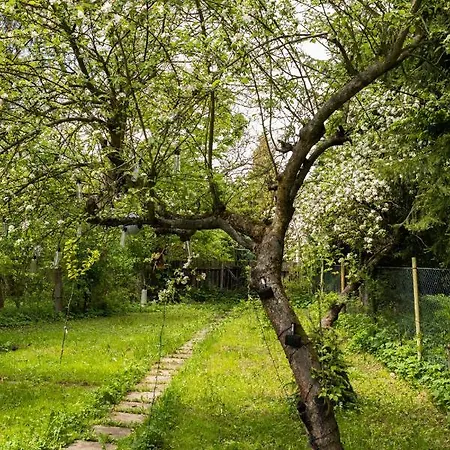 Dom Z Piernika Szczawno-Zdroj