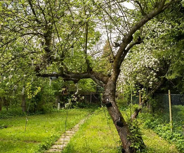 Dom Z Piernika Szczawno-Zdroj